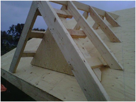 building a shed roof is easy when you know how.